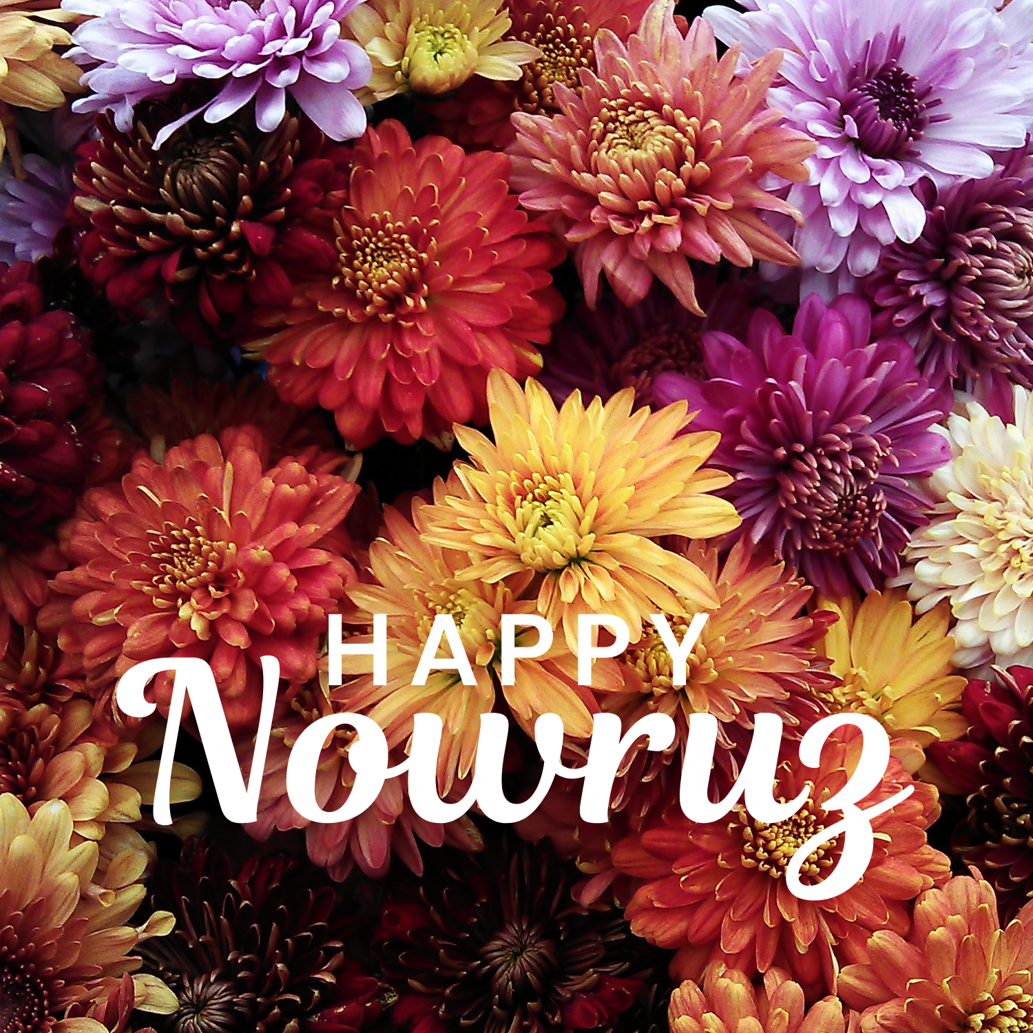 Nowruz Wishes Card