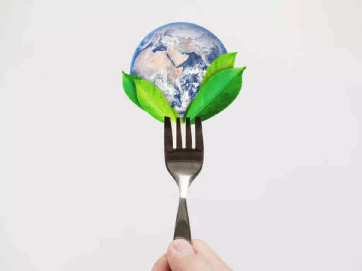 Sustainability Sparks Culinary Innovation: Food and Recipe Development Embrace Eco-Friendly Practices