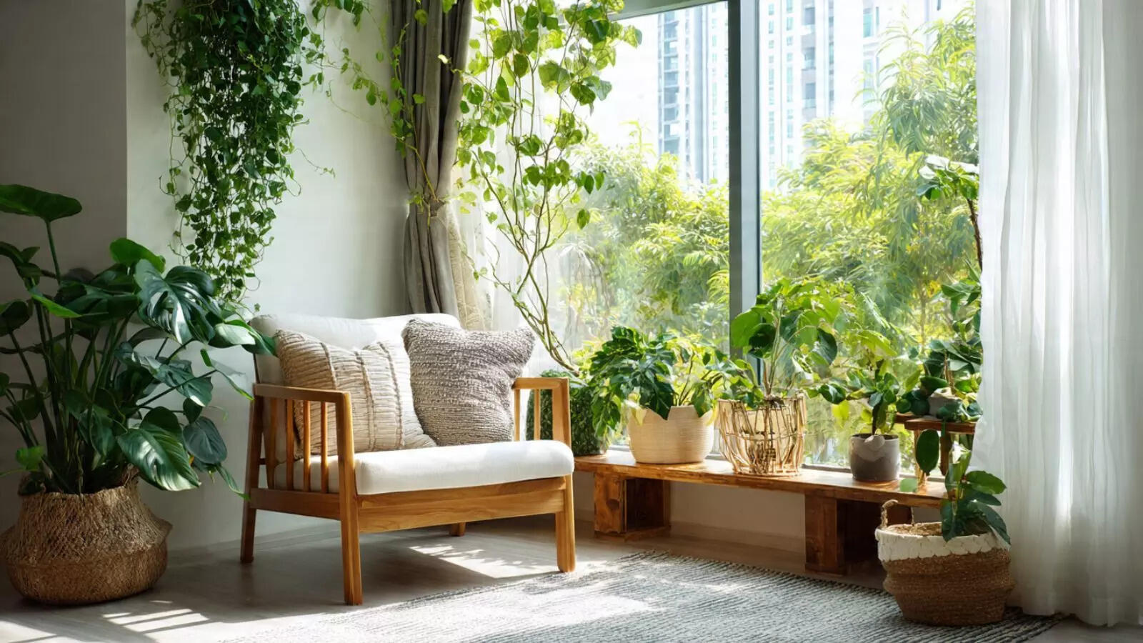 Why Indoor Plants Are a Must-Have for Modern Homes Today