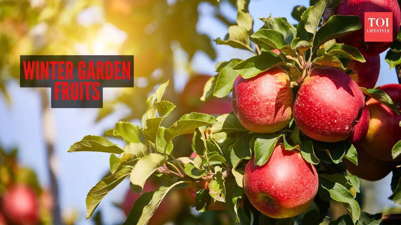 Winter-Friendly Fruits: 8 plants that thrives in cold-weather gardens