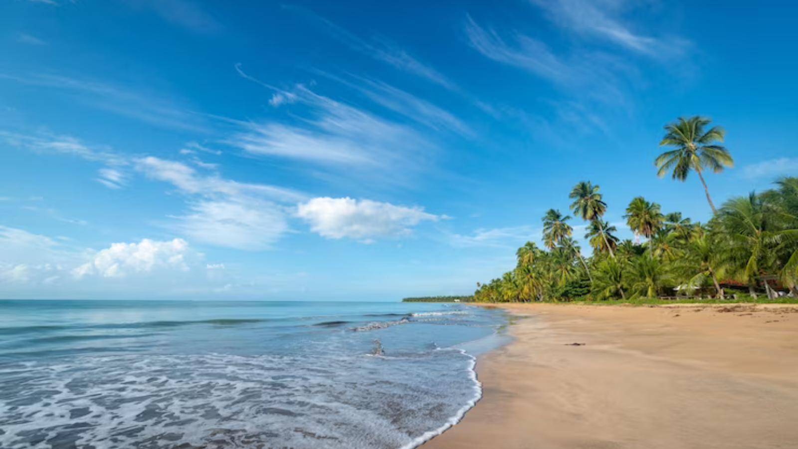 72 Hours of Bliss: Your Ultimate Guide to Sun, Sand, and Nonstop Fun in Goa