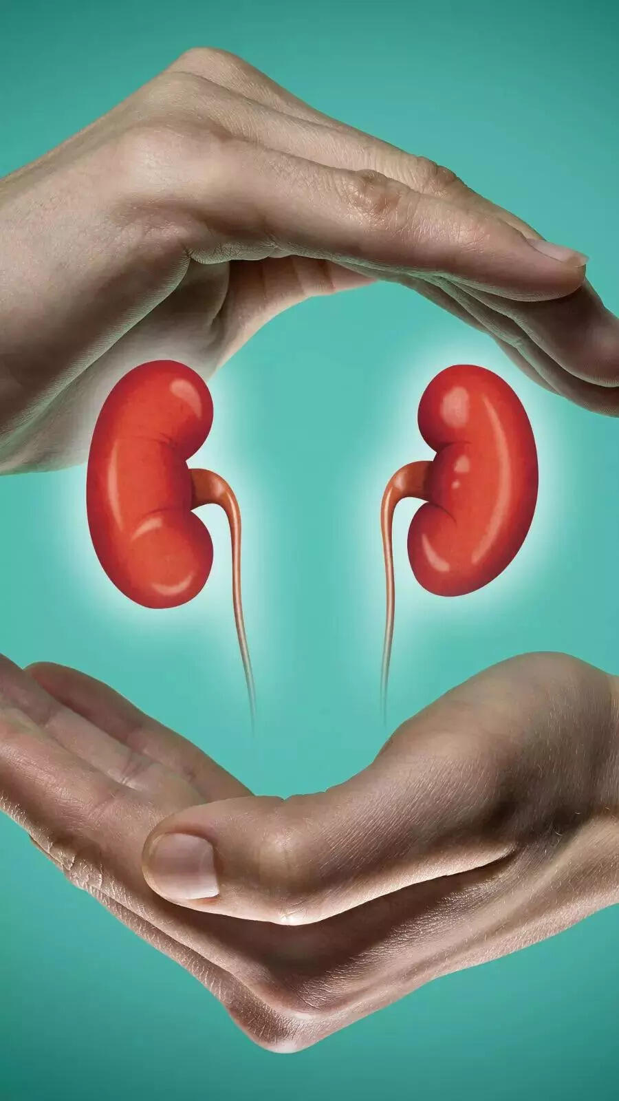Nurturing Kidney Health 3 Yoga Exercises For Optimal Renal Wellbeing News Point