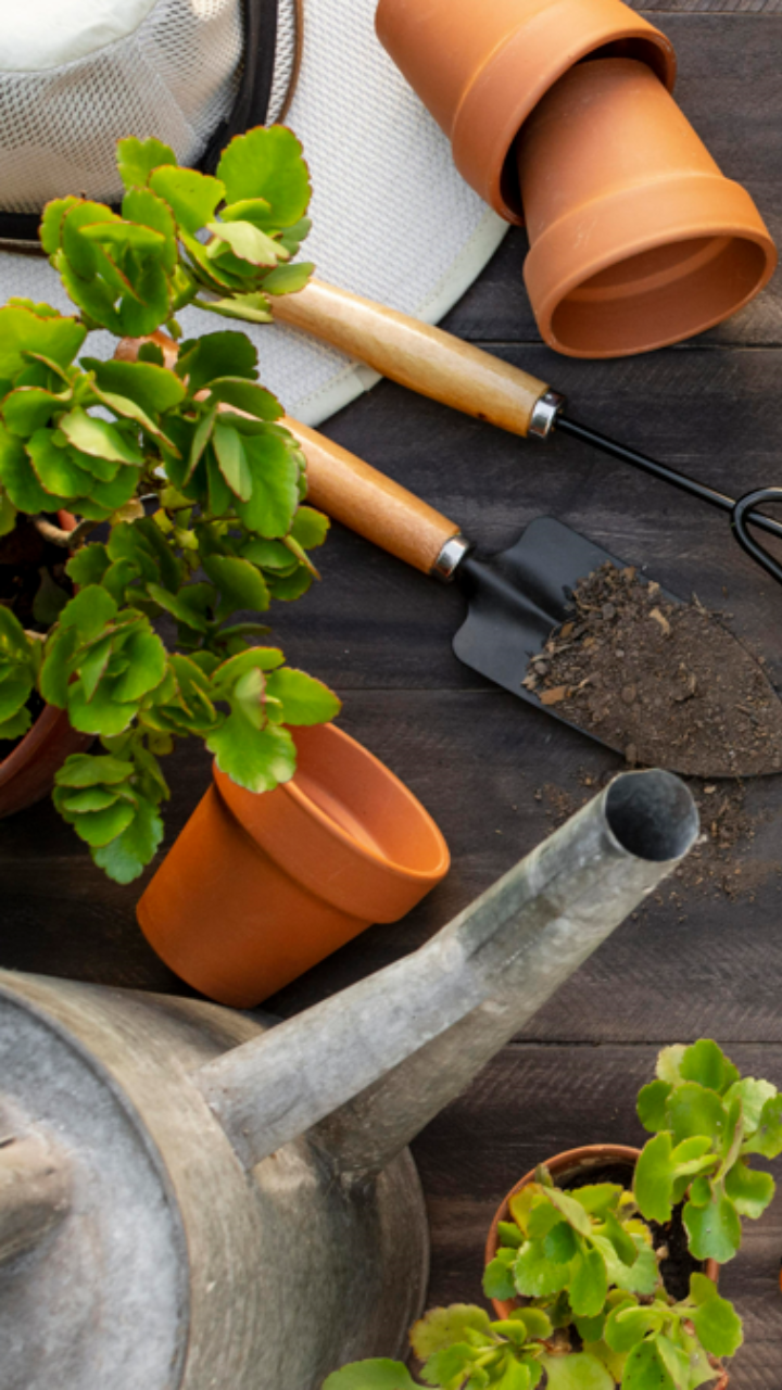 The Ultimate Guide To Gardening Tools