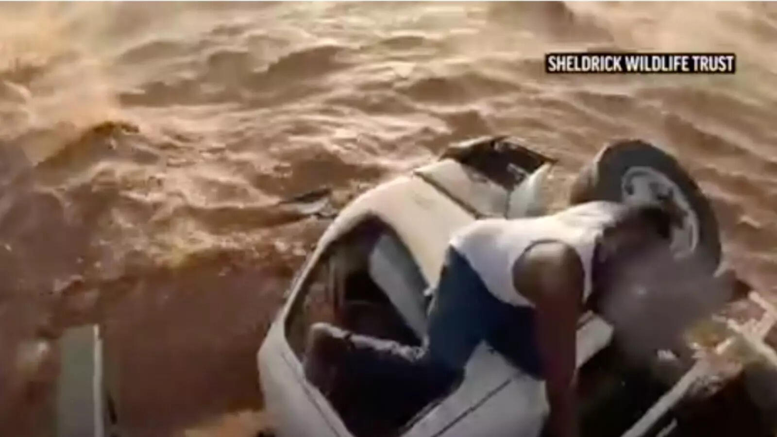 Caught on cam: Daring rescue of driver trapped in raging Kenya river