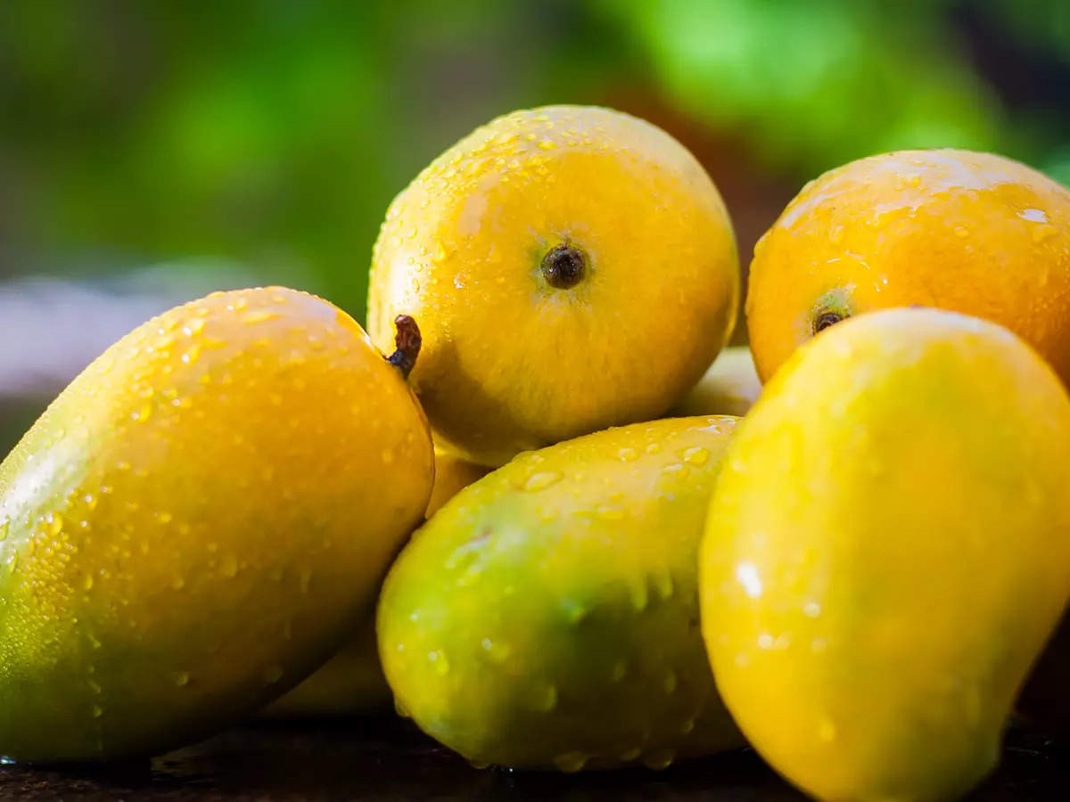 This is the world’s most expensive <b>mango</b> and it costs INR 19,000 a piece Th...