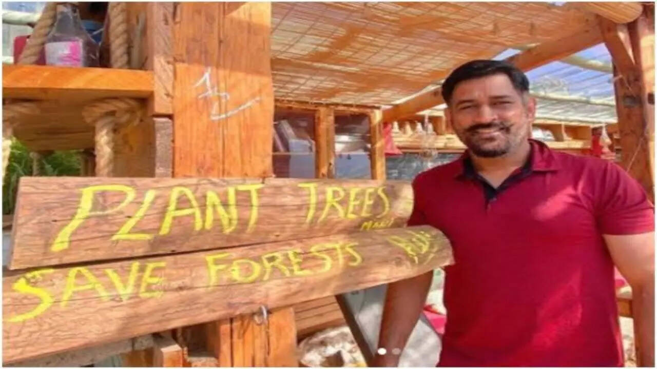 BCCI's initiative to plant 500 trees for every dot pall ignites hilarious memes