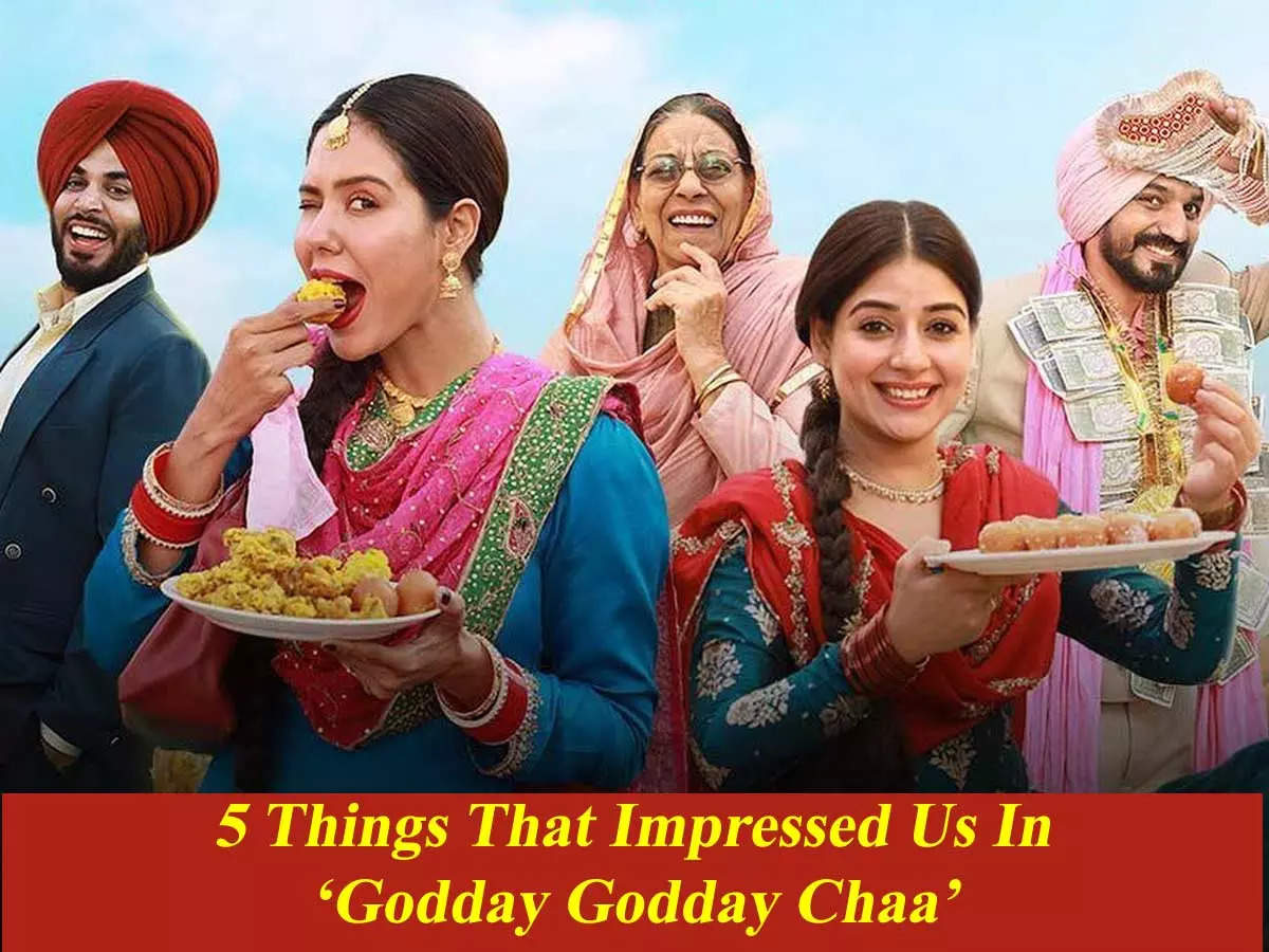 Godday Godday Chaa 5 Things that impressed us in the movie The