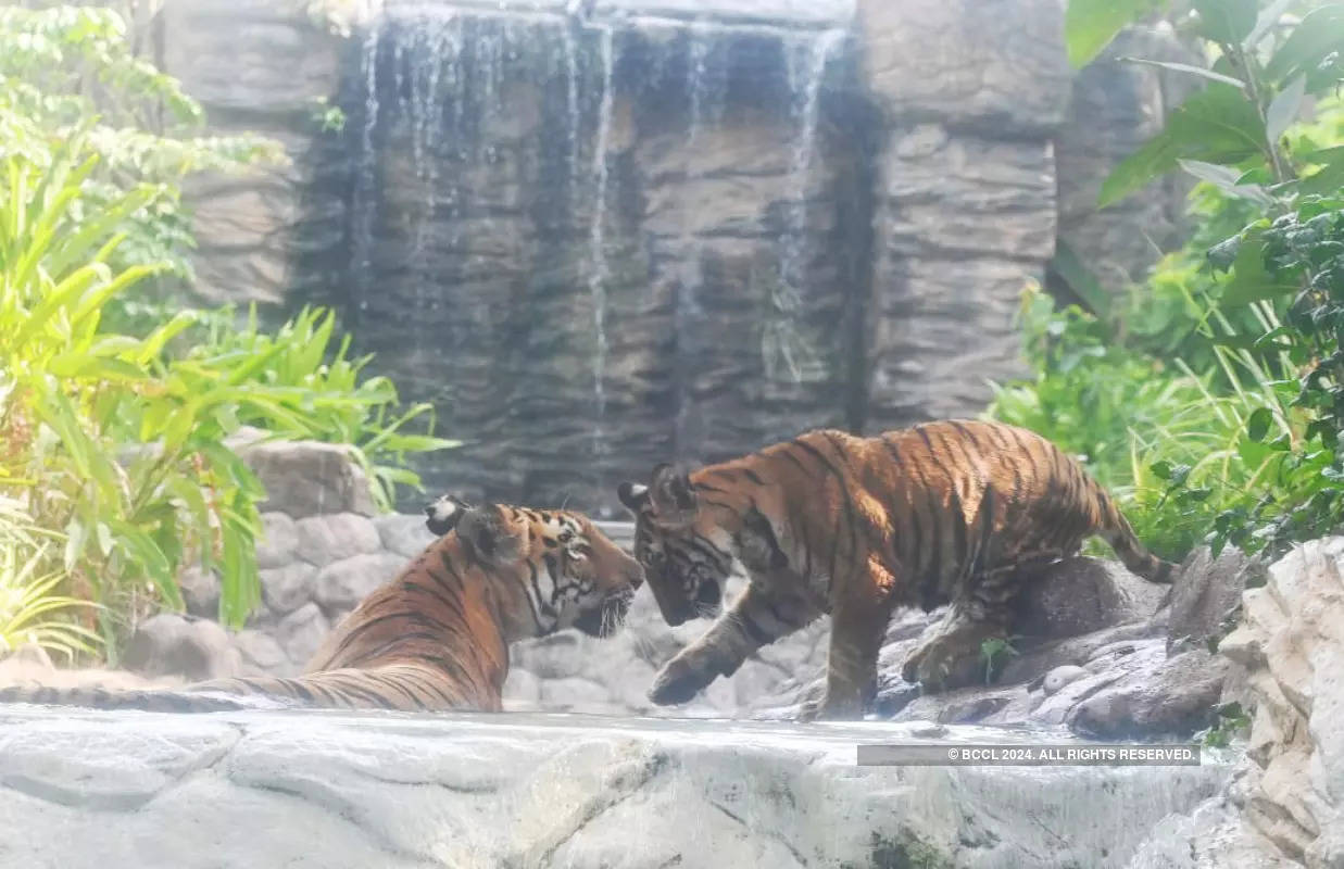 ​Mumbai's Byculla Zoo welcomes new entrants​