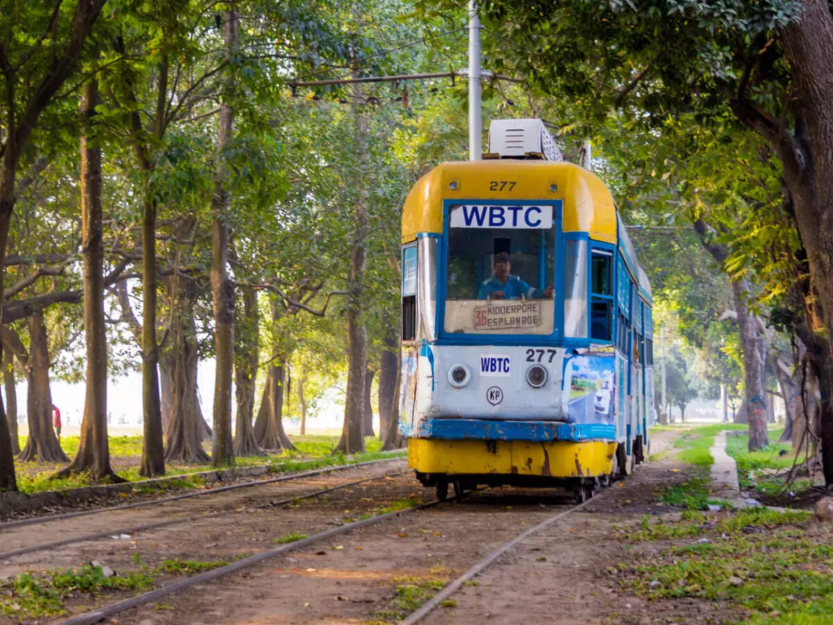 Kolkata's Maidan is all about historic grandeur and recreation