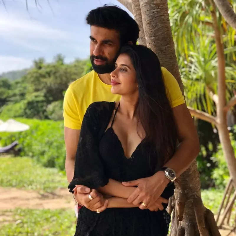 Rajeev Sen and Charu Asopa get divorced: Pictures of the former couple from their blissful days resurface online