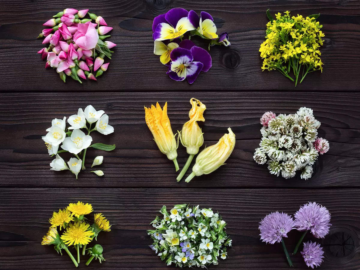 Floral Food Faces  Edible flowers, Edible flowers recipes, Flower food