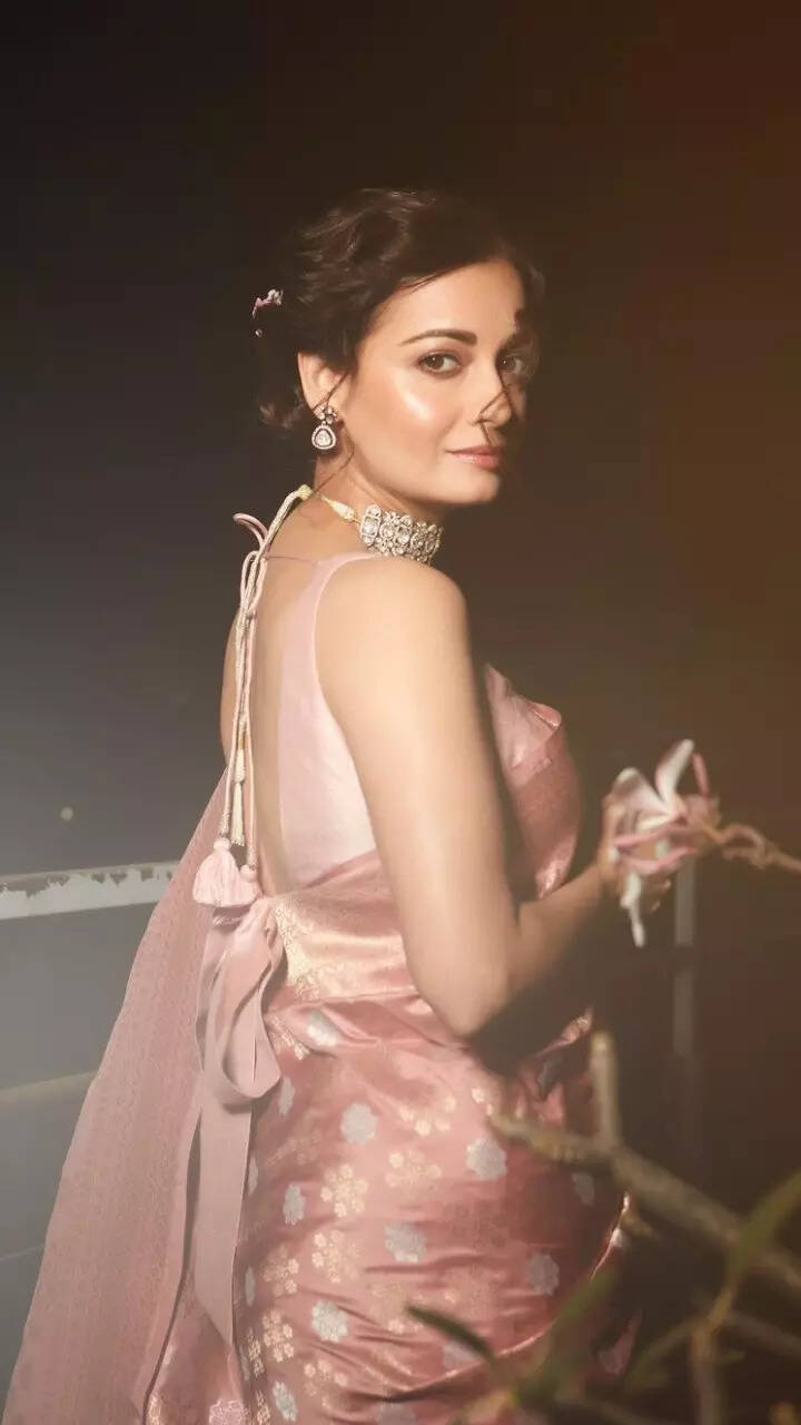 Dia Mirza's dreamy ethnic wardrobe is bookmark-worthy 