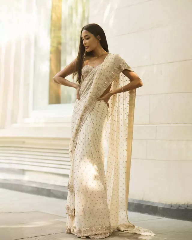 Lisa Haydon redefines bridesmaid style in elegant sarees for sister Malika's wedding, see pictures