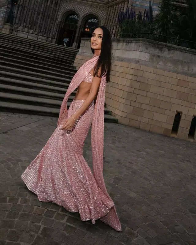Lisa Haydon redefines bridesmaid style in elegant sarees for sister Malika's wedding, see pictures