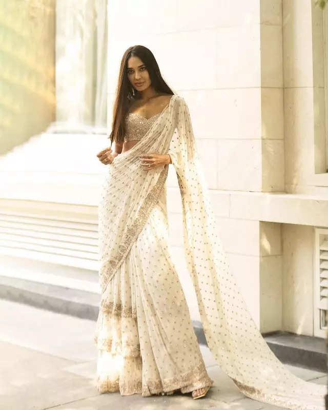 Lisa Haydon redefines bridesmaid style in elegant sarees for sister Malika's wedding, see pictures