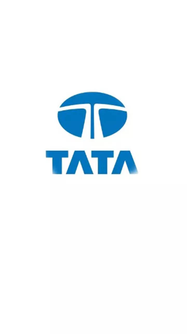 Tata Steel: income 2023