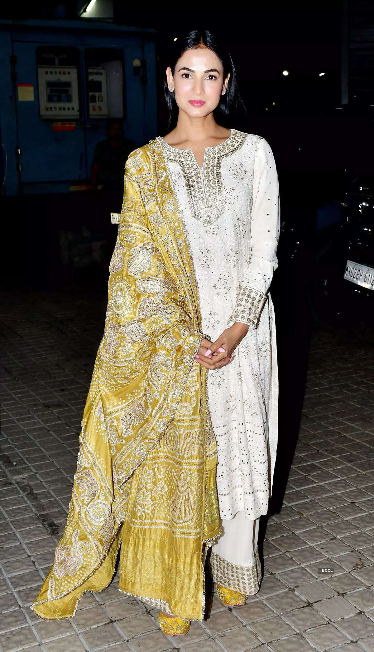 ​Adipurush: Screening​