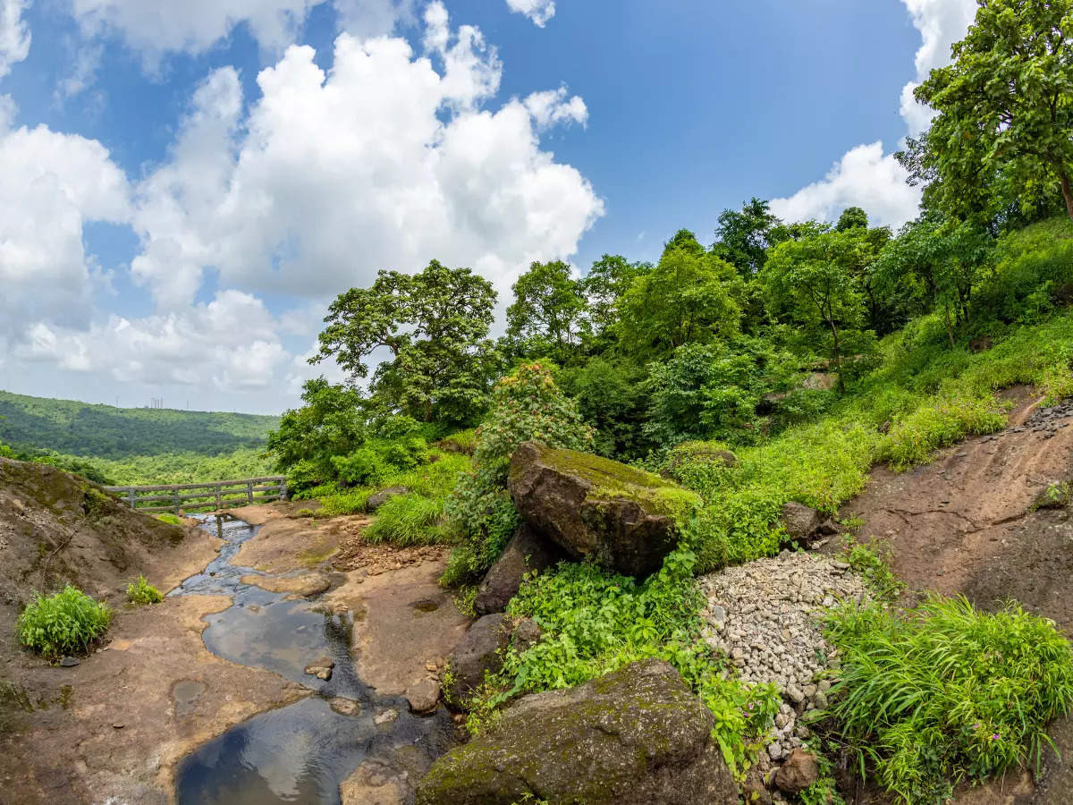 Sanjay Gandhi National Park, a natural beauty within the city of Mumbai