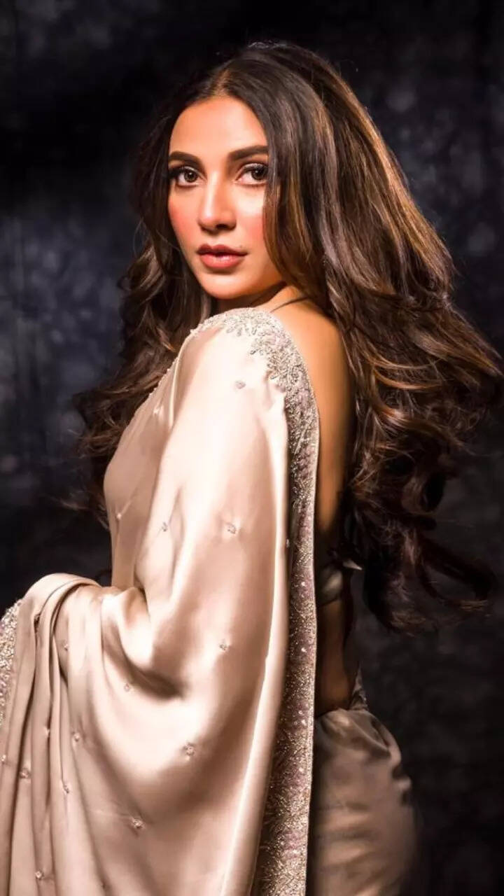 Subhashree ganguly hot photo