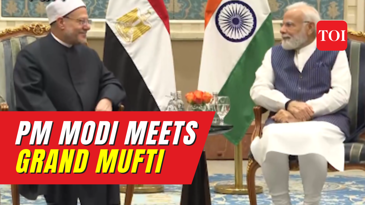 PM Modi meets Grand Mufti of Egypt Shawki Ibrahim Abdel-Karim Allam in ...