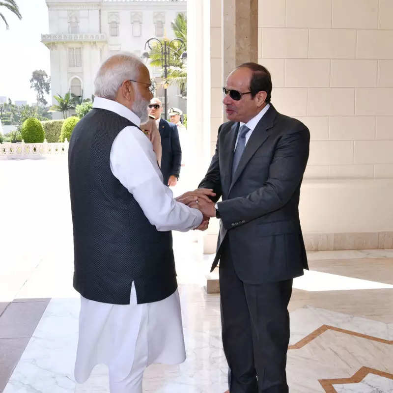 Egypt and India bolster ties as Narendra Modi makes first trip to Cairo