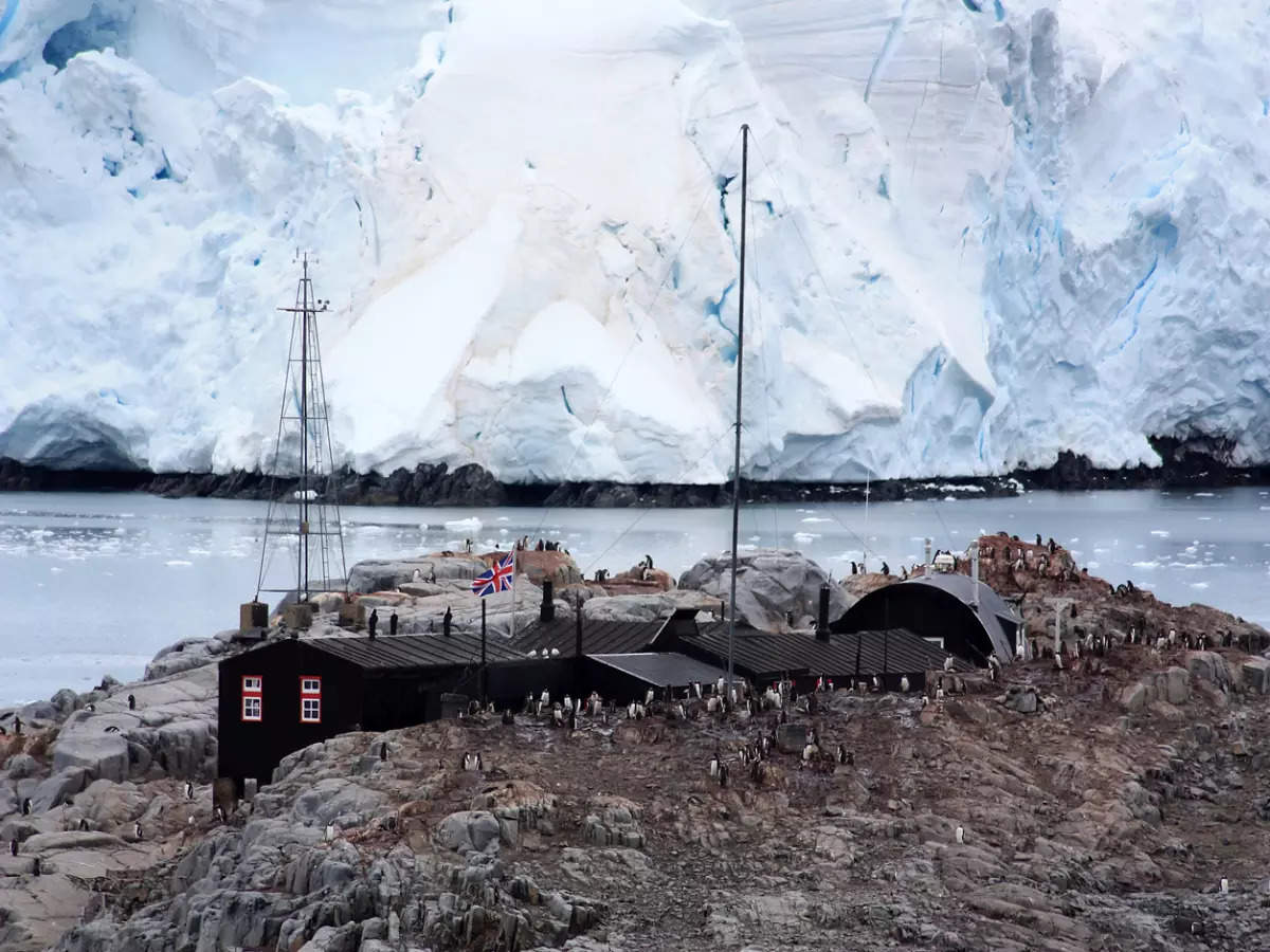 Antarctica’s Penguin Post Office: What is the world's remotest post office like?