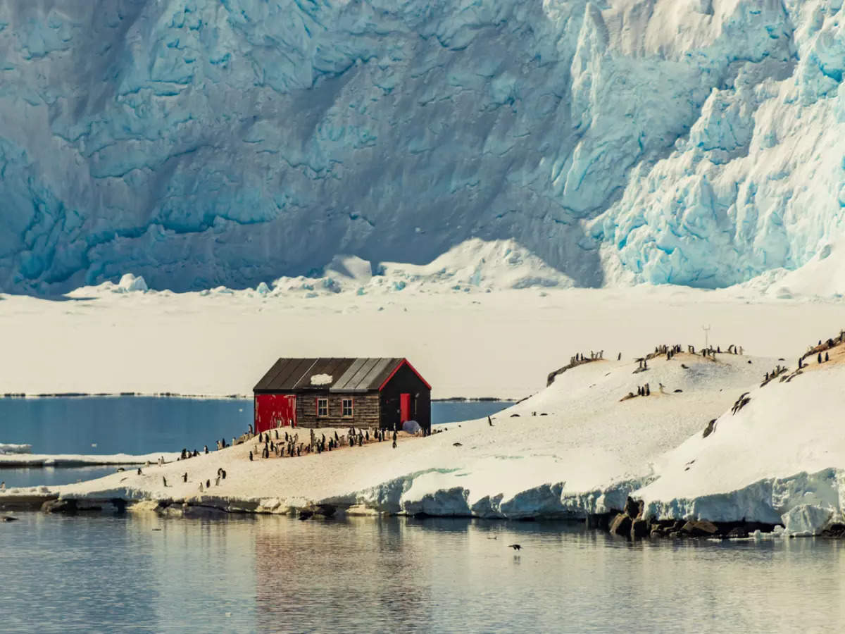 Antarctica’s Penguin Post Office: What is the world's remotest post office like?