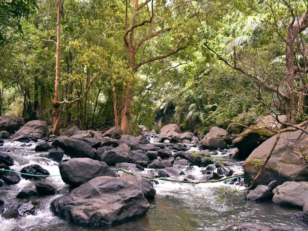 Dudhsagar Falls in monsoon – things you need to know, Goa - Times of ...