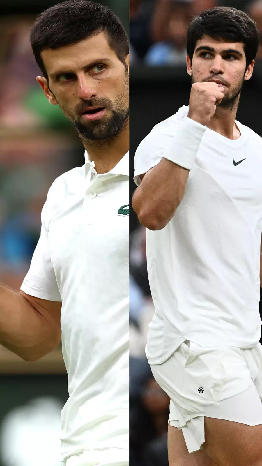 Wimbledon History on the line in Djokovic vs Alcaraz final/u200b Times of India