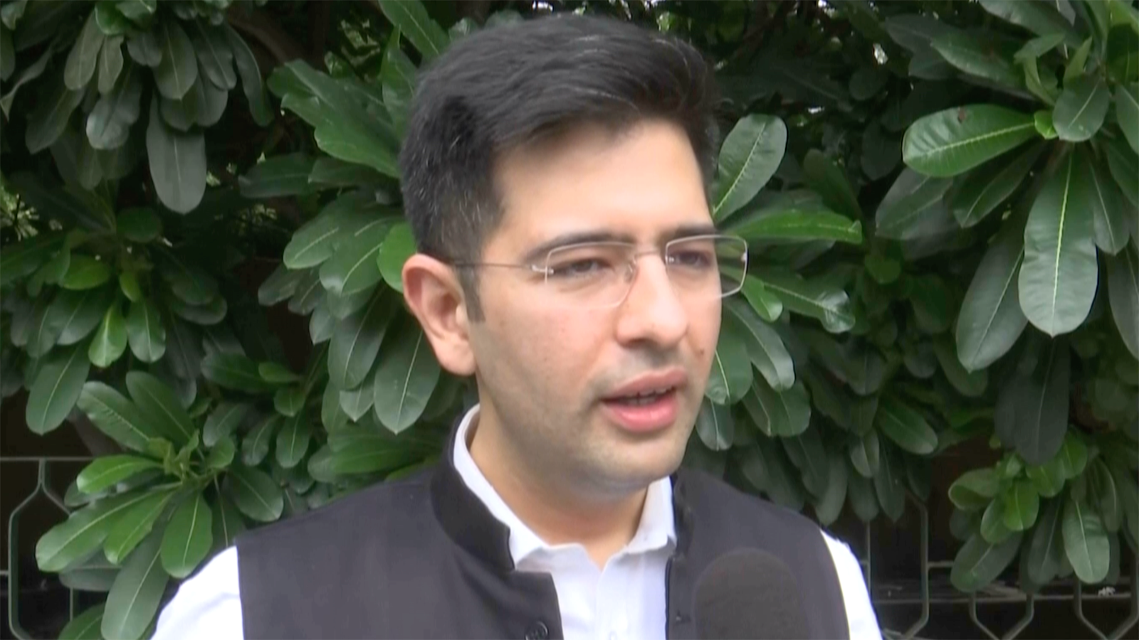 Bjp Having Sleepless Nights Aam Aadmi Party Leader Raghav Chadha