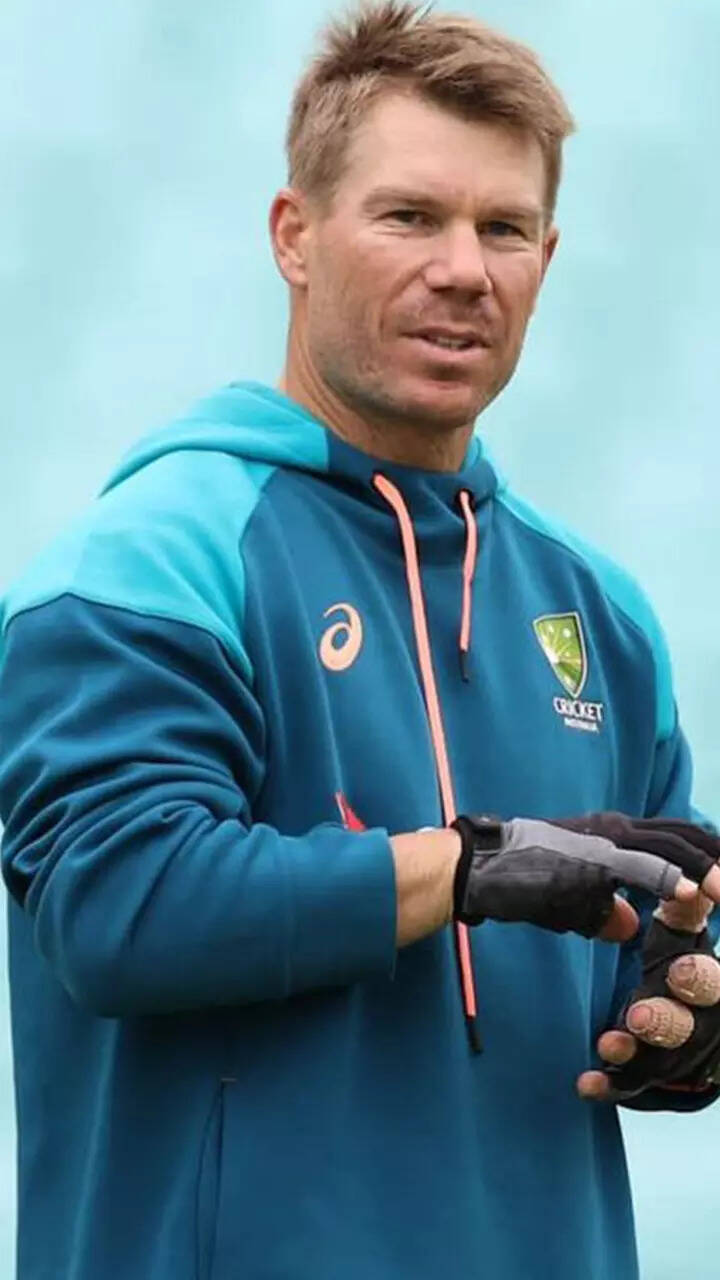 David Warner - 2012