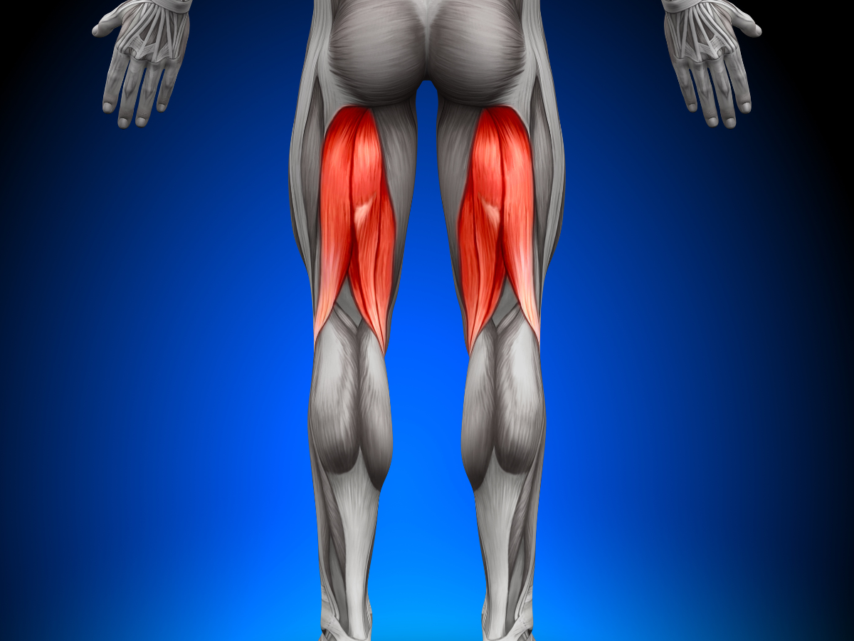 Why Does Your Hamstring Still Hurt? - Evercore - Move With a Strong,  Healthy Body