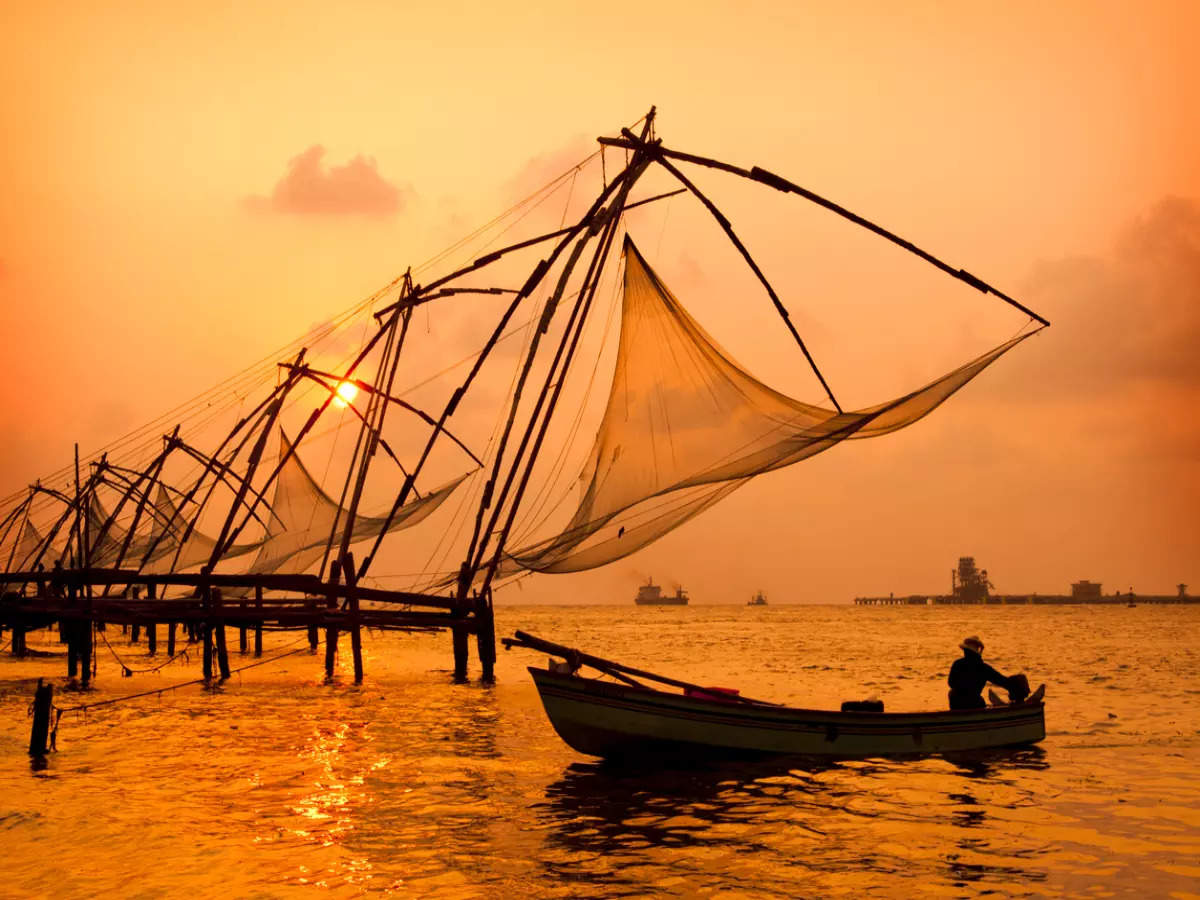 The fast-disappearing act of Kochi's iconic Chinese Fishing Nets, Kochi -  Times of India Travel