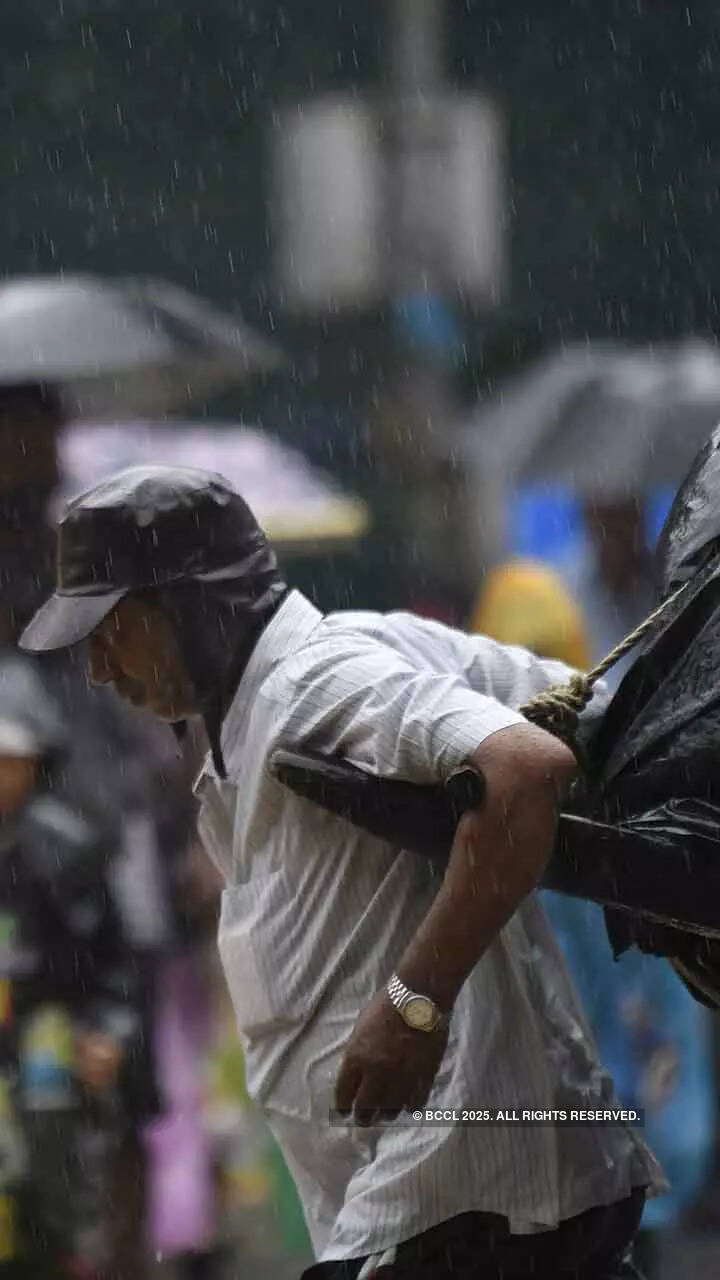 IMD Issues Green Alert