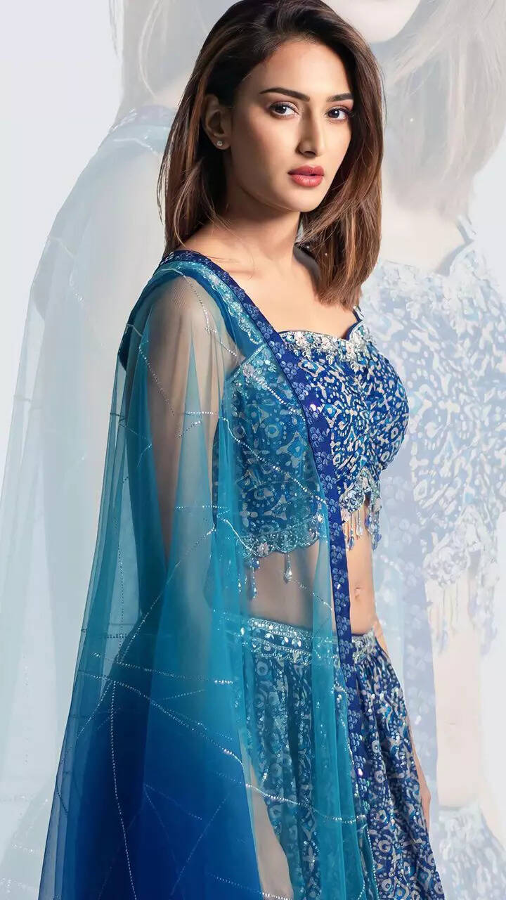 ​Erica Fernandes captivates in ethnic wear with grace and tradition​