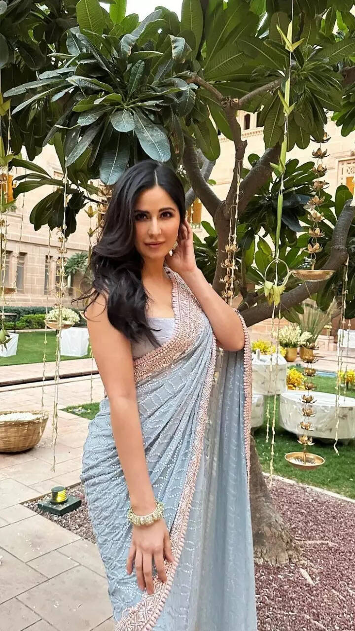 Katrina Kaif and her six yards of grace in dreamy sarees
