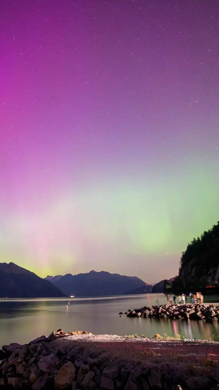 Viewers are mesmerised