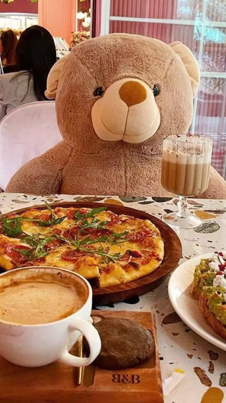 Teddy best sale house cafe