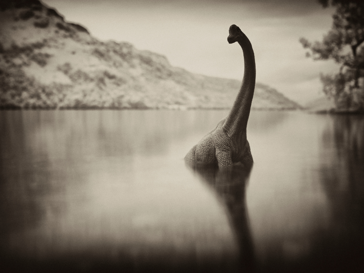 Monster nessie. Озеро Лохнесс и Лохнесское чудовище. Лох-Несс озеро чудовище. Озеро Лохнесс в Шотландии чудовище. Несси Лохнесское чудовище.