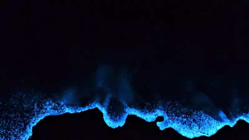 These incredible pictures show the ethereal bioluminescent sea sparkle