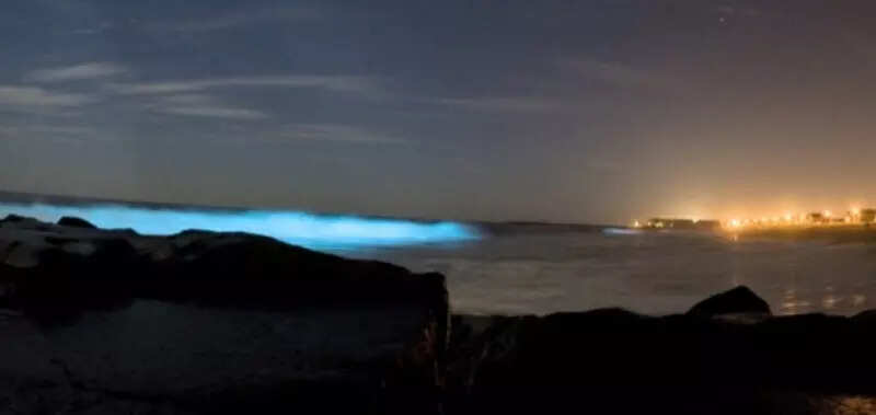 These incredible pictures show the ethereal bioluminescent sea sparkle