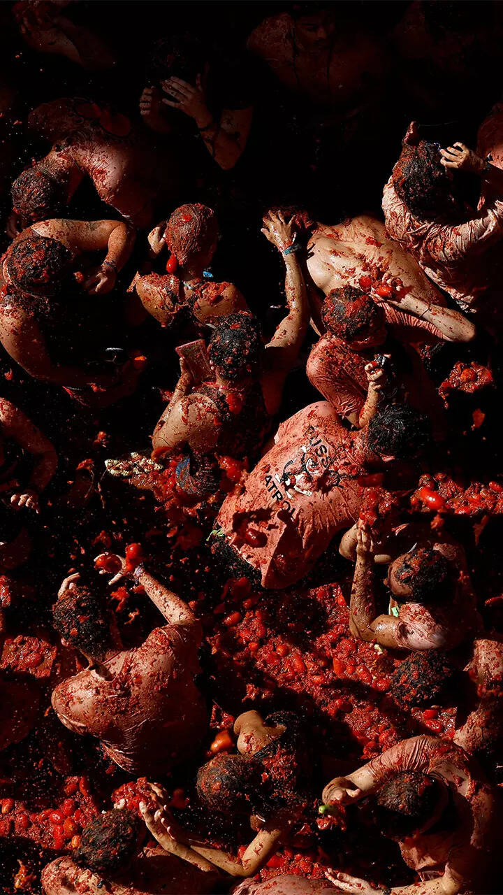 Unleash the reds at La Tomatina&mdash;where tomatoes rule the revelry