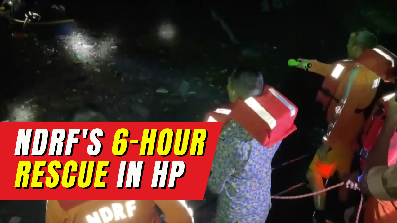 Watch NDRF's midnight rescue of 10 people trapped in Himachal Pradesh's ...