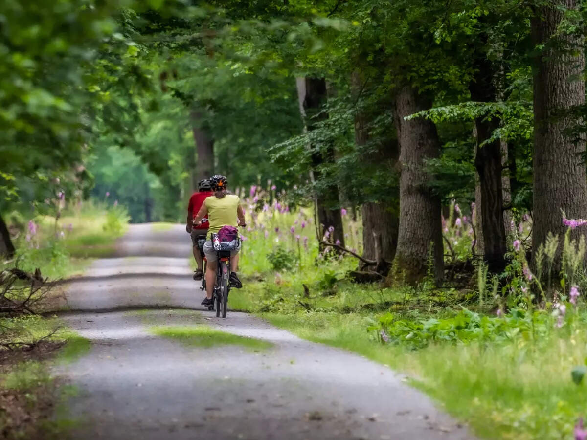 Now experience cycle safaris at Pench Tiger Reserve