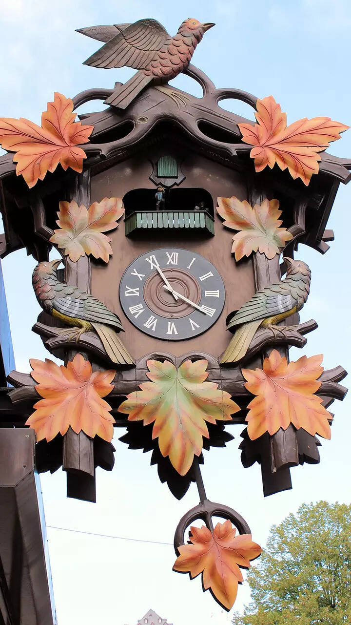 Germany's Black Forest​