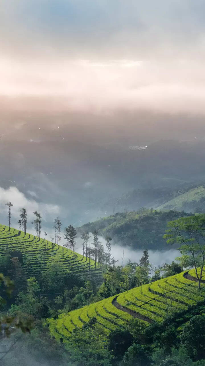 Munnar