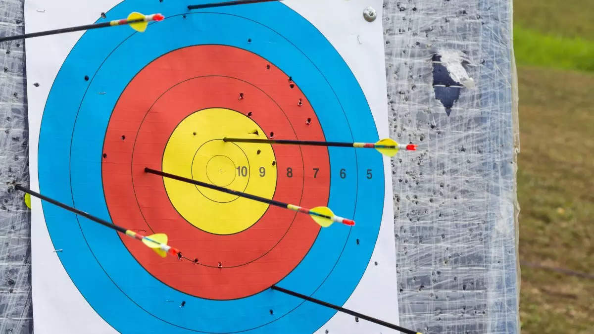 Archery target boards for professionals: Best picks | Most Searched ...