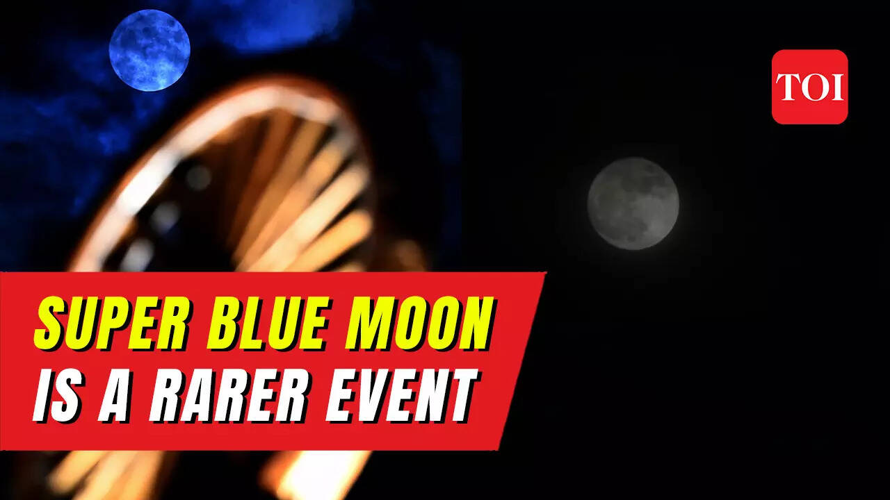 Super Blue Moon 2023: People witness rare celestial event