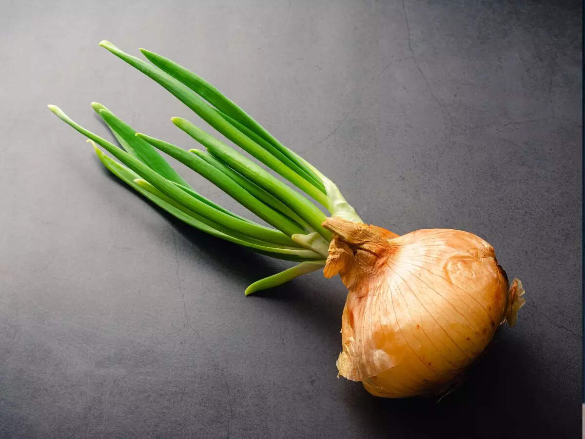 Is it safe to eat sprouted onions?