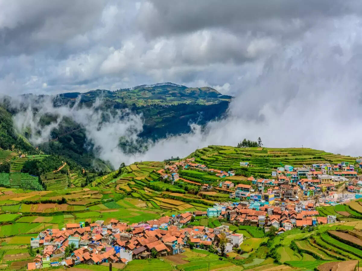 Kodaikanal: Why should you not skip visiting Kodaikanal when in Tamil Nadu?  | Times of India Travel